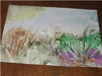 9c0d7155-Picture 015.jpg